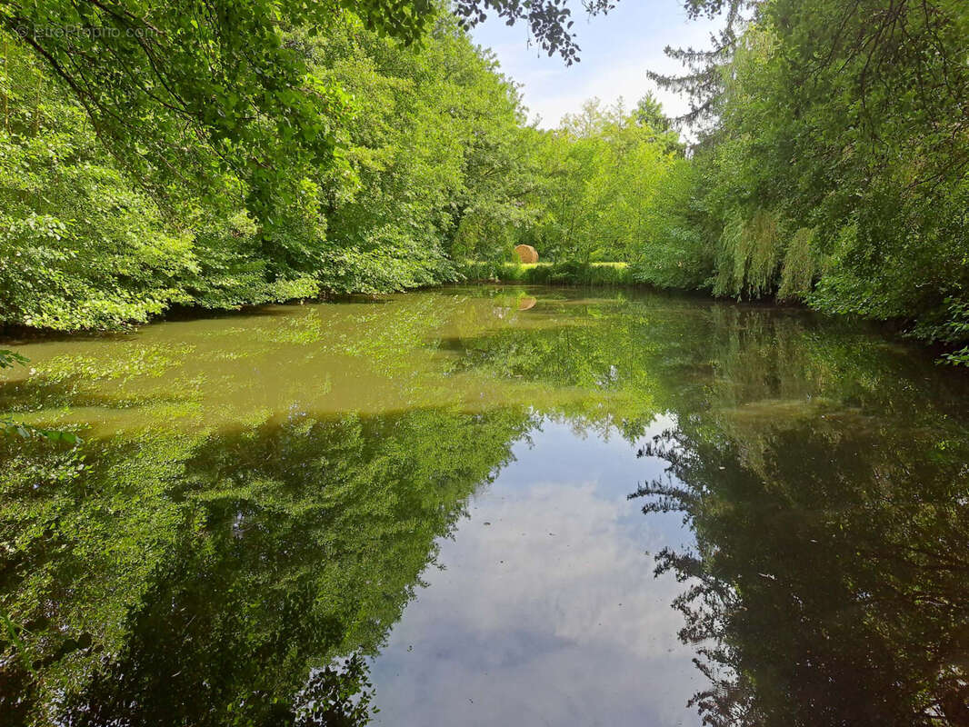 Terrain à SAINT-CALAIS