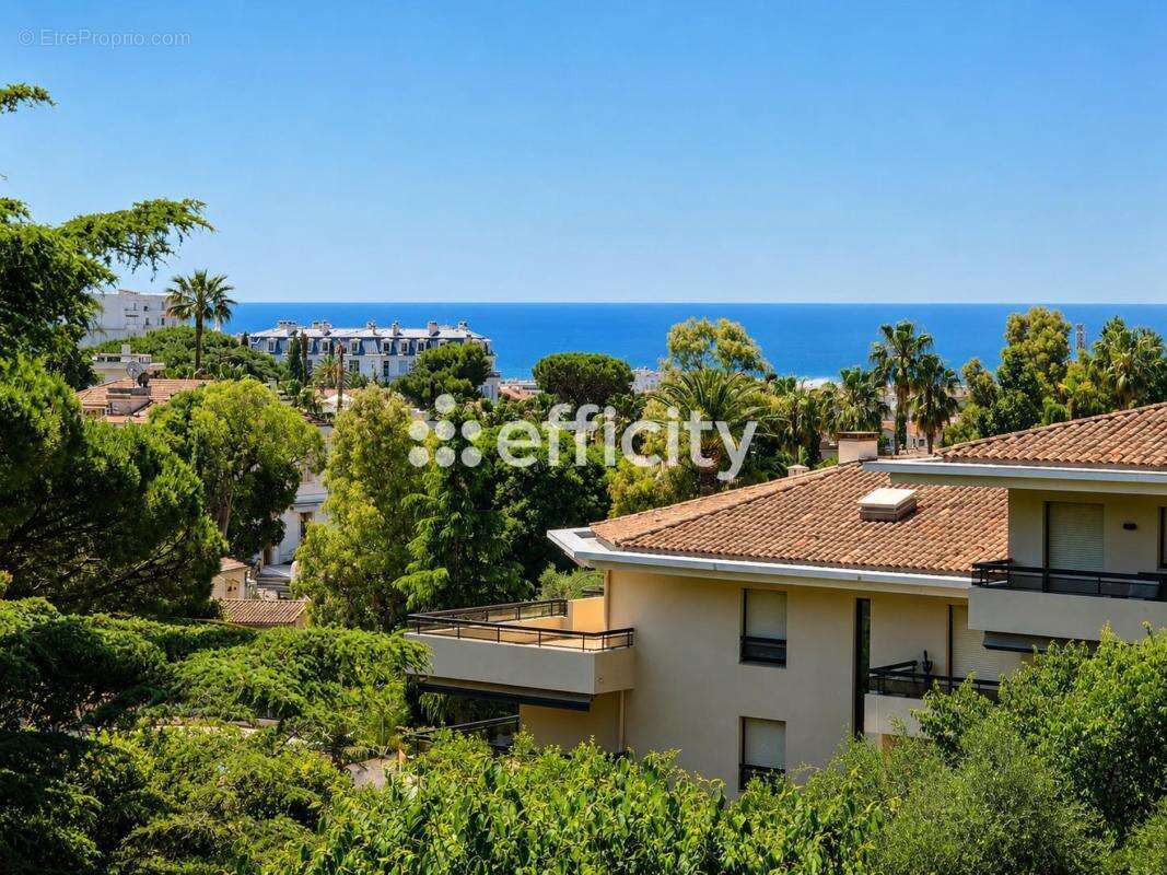 Appartement - photo 11