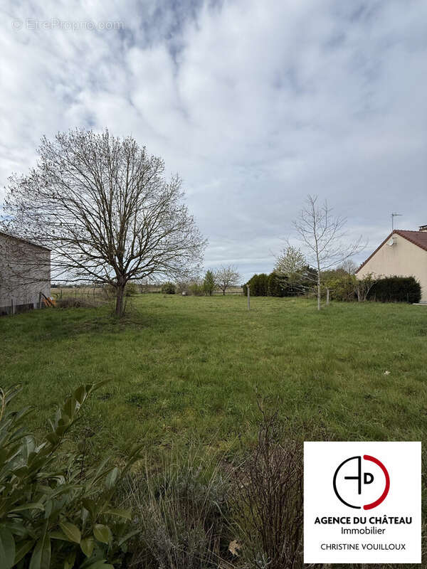 Terrain à SAINT-BENOIT-SUR-LOIRE