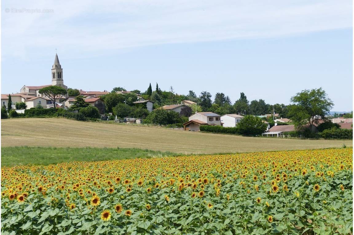 Terrain à CHATUZANGE-LE-GOUBET