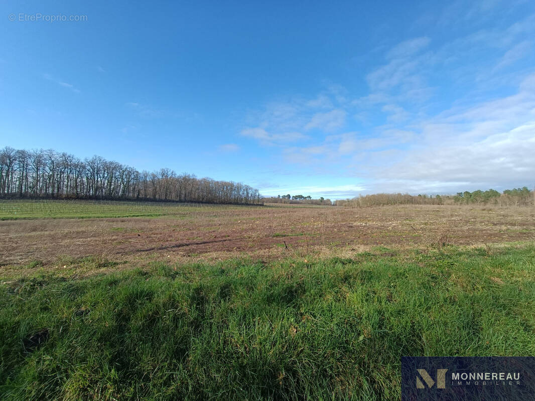Terrain à SAINT-MAIGRIN