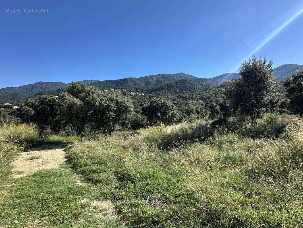 Maison à VILLELONGUE-DELS-MONTS