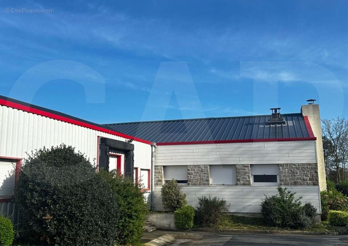 Autre à LAMBALLE