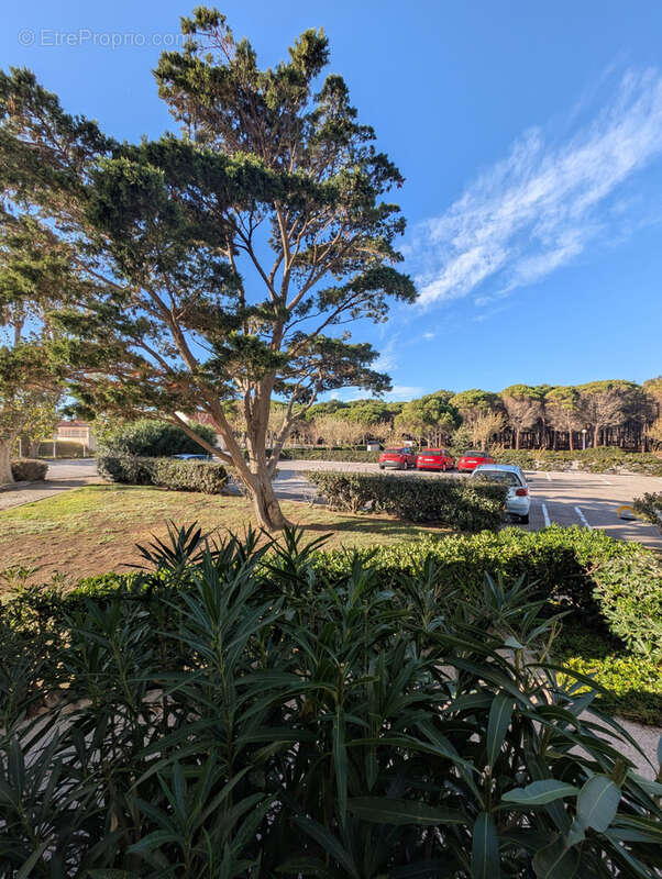 Appartement à LE BARCARES