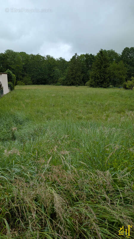 Terrain à NEUVY-SUR-LOIRE