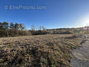 Terrain à SAINT-PRIEST-DE-GIMEL