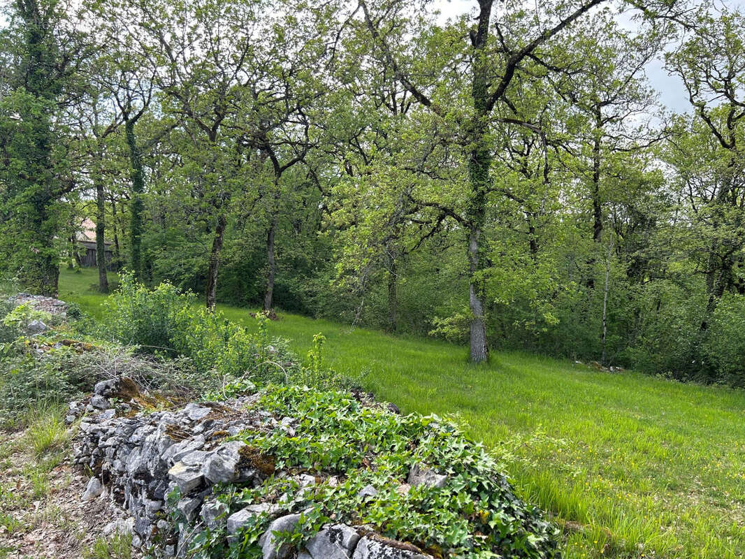 Terrain à SARRAZAC