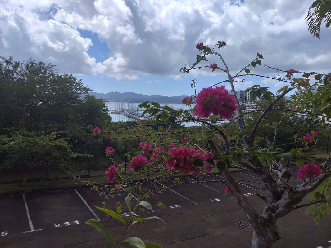 Appartement à FORT-DE-FRANCE