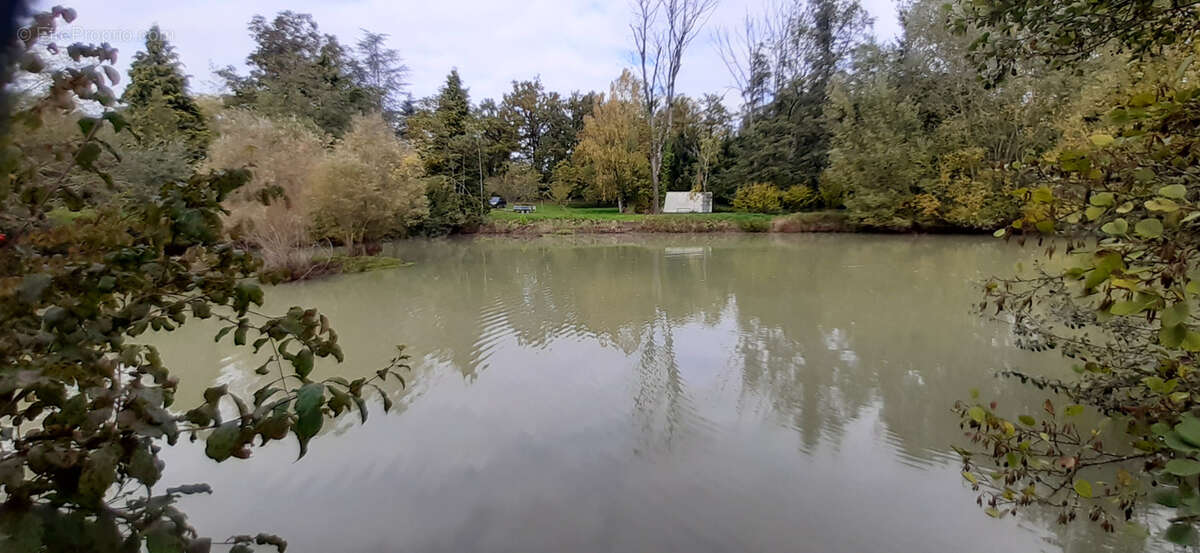 Terrain à LUNEVILLE