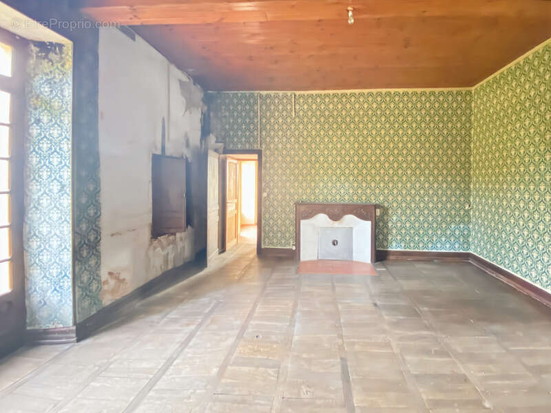 Dpt Gers (32), à vendre Proche de RISCLE château T6 de 327 m² habitables + 580 m² de dépendances attenantes sur 8157 m² de terra - photo 6