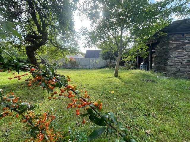 Fort potentiel - photo 18