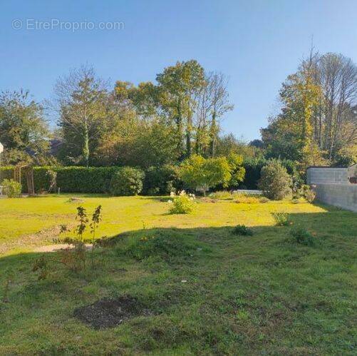 Terrain à VIGNEUX-DE-BRETAGNE
