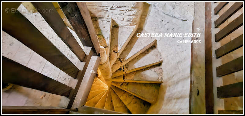 Propriété - Château Gascon Historique  - Terres agricoles, proche de AUCH (32) - photo 18