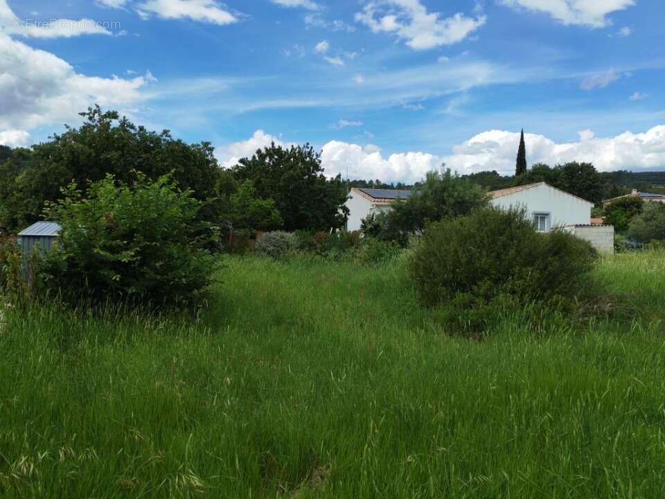 Terrain 750 m² à Le Cannet-Des-Maures  - photo 3
