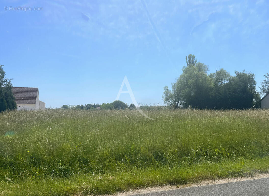 Terrain à CONTRES