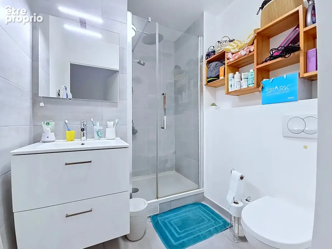 Duplex – dernier étage – rer a à 7 minutes - photo 10