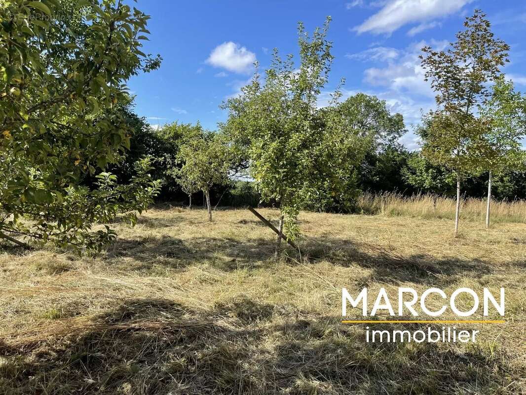 Vente maison secteur crocq - photo 2