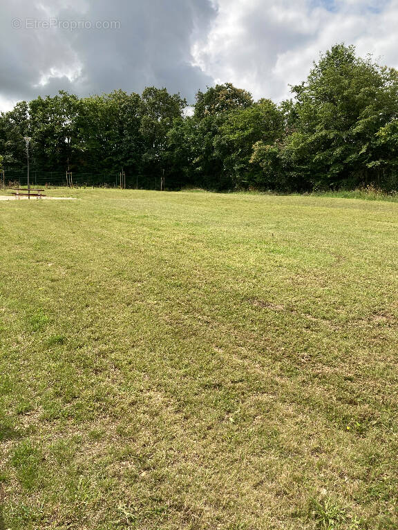 Terrain à SURY-ES-BOIS