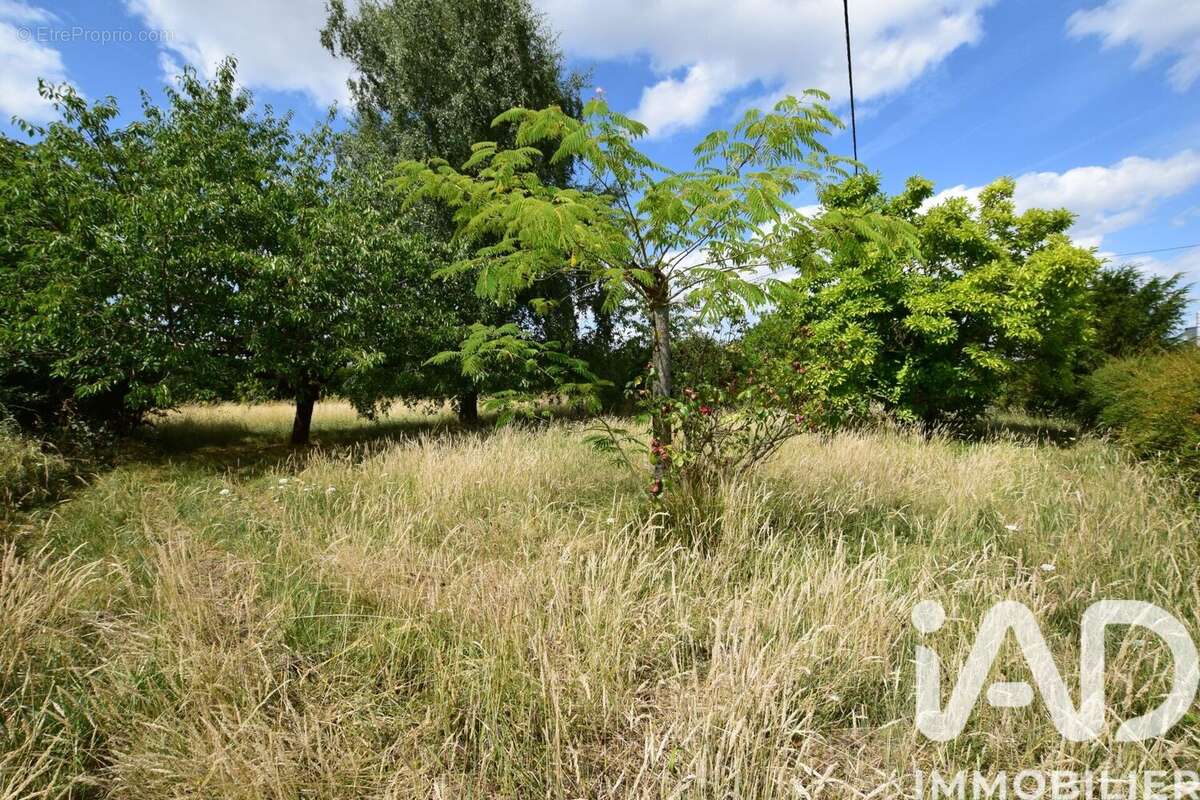 Photo 2 - Terrain à SAINT-BRANCHS