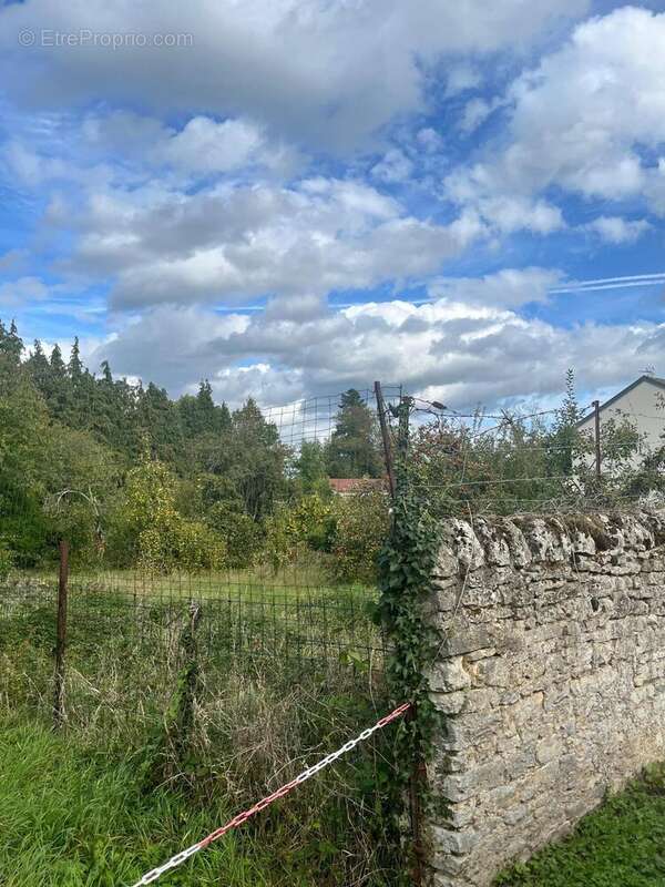 Photo 2 - Terrain à GERBEVILLER