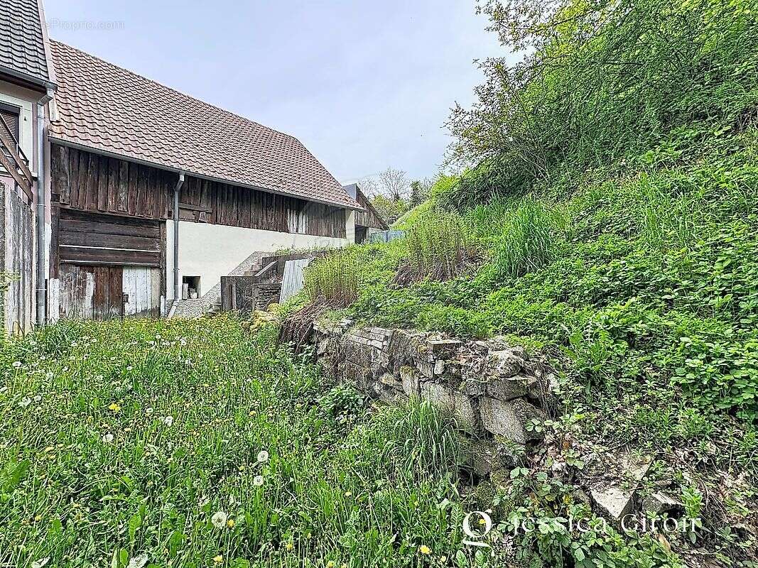 Maison à WIHR-AU-VAL