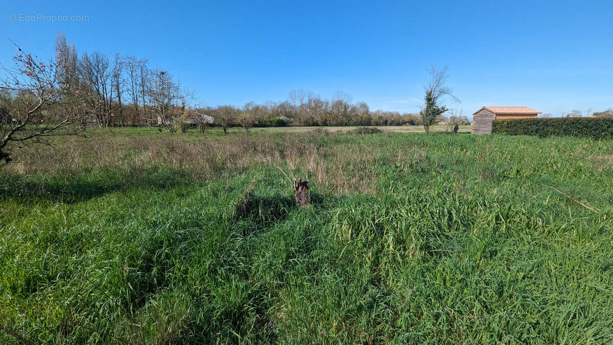 Terrain à COULON
