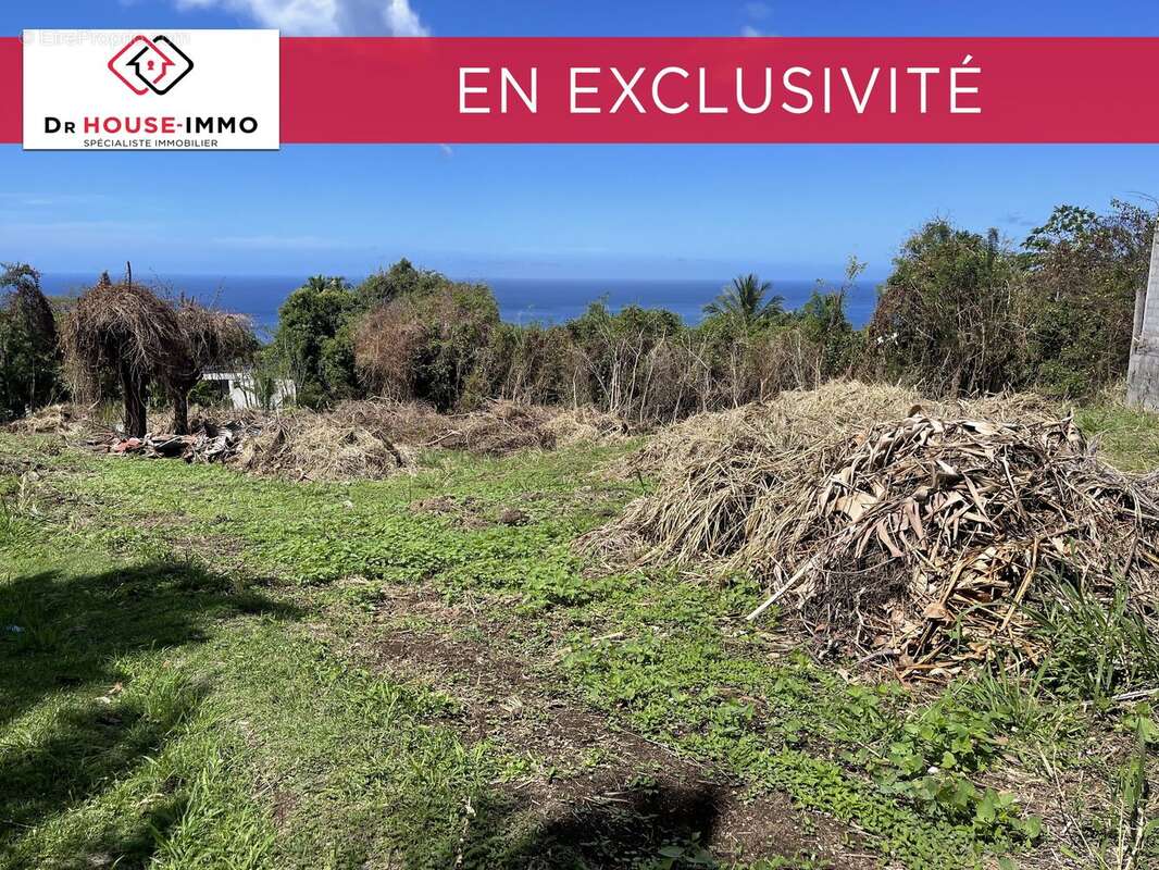 Terrain à VIEUX-HABITANTS