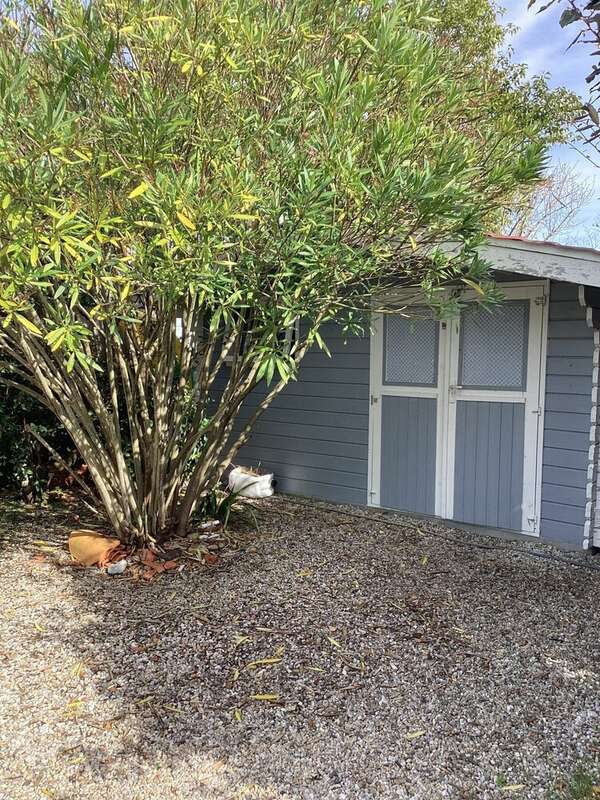 Dépendance - Maison à SOULAC-SUR-MER