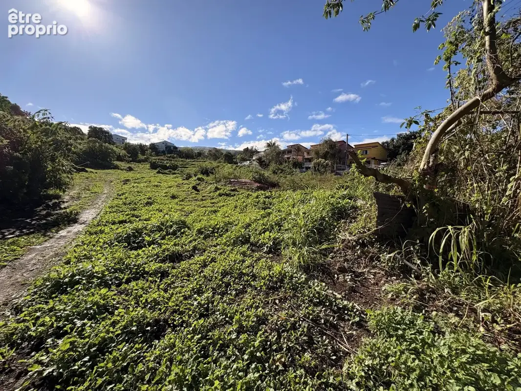 Terrain 380 m² à vendre à Le Tampon (97430) - photo 4