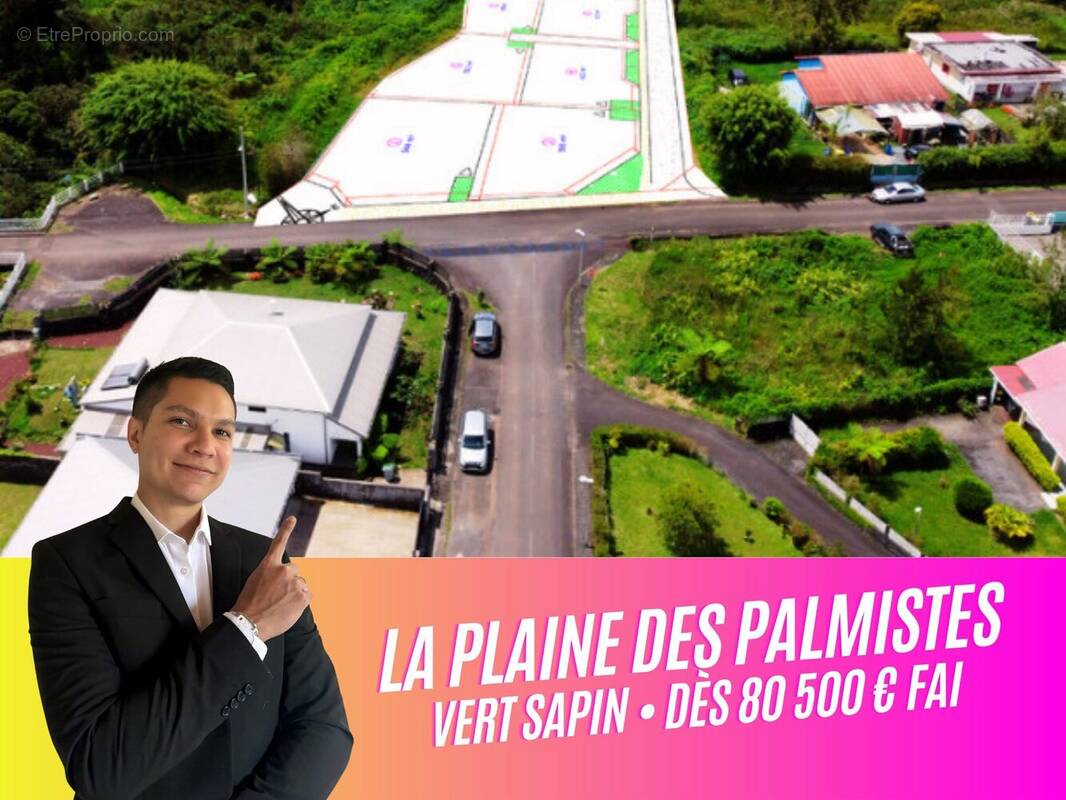 Terrain à LA PLAINE-DES-PALMISTES
