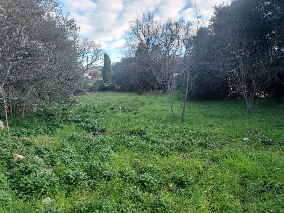 Terrain à CAMPS-LA-SOURCE