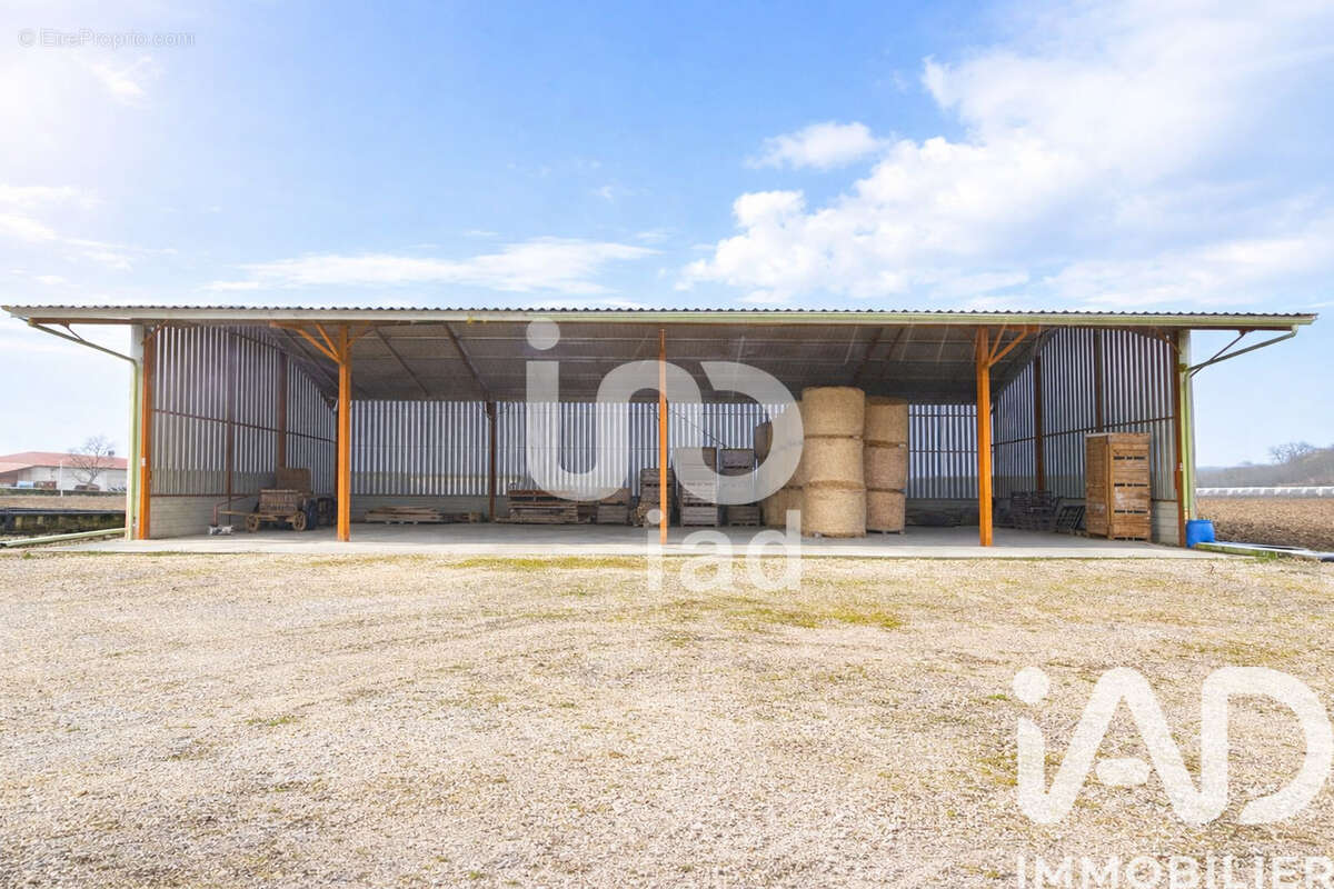 Photo 2 - Terrain à LAFRANCAISE