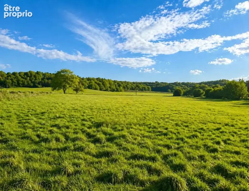 Photo Terrain à Champagne-Et-Fontaine au prix de 20 000€