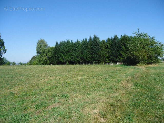 Terrain 3200 m² à Arnac-Pompadour  - photo 2