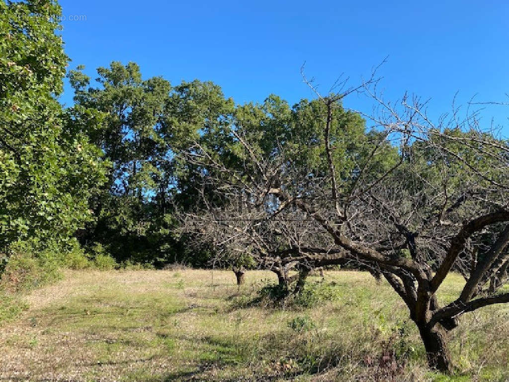 Terrain à UZES