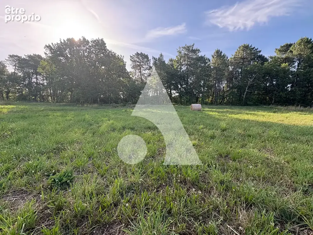Photo Terrain à Mercuer au prix de 96 000€
