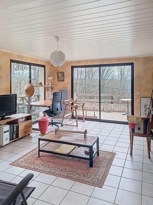Maison 235 m² à Lacaze  - photo 2