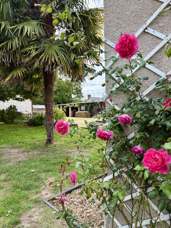 Maison à LA BOHALLE