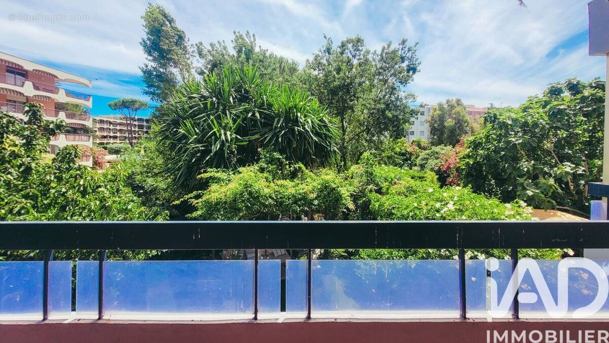 Photo 1 - Appartement à MANDELIEU-LA-NAPOULE