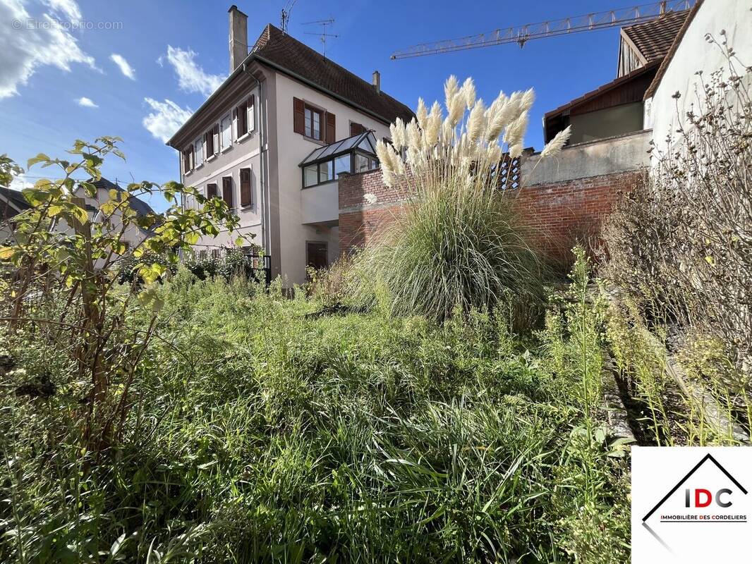 Appartement à WASSELONNE