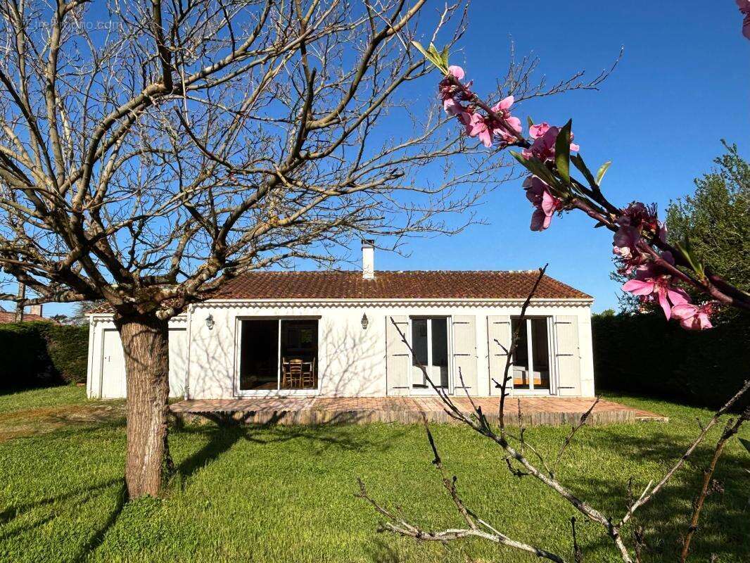 À Vendre - Maison au calme face à la nature à Dolus d’Oléron - photo 2