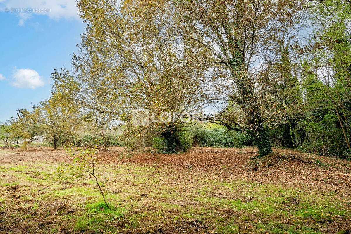 Maison à SAINT-VINCENT-DE-PAUL