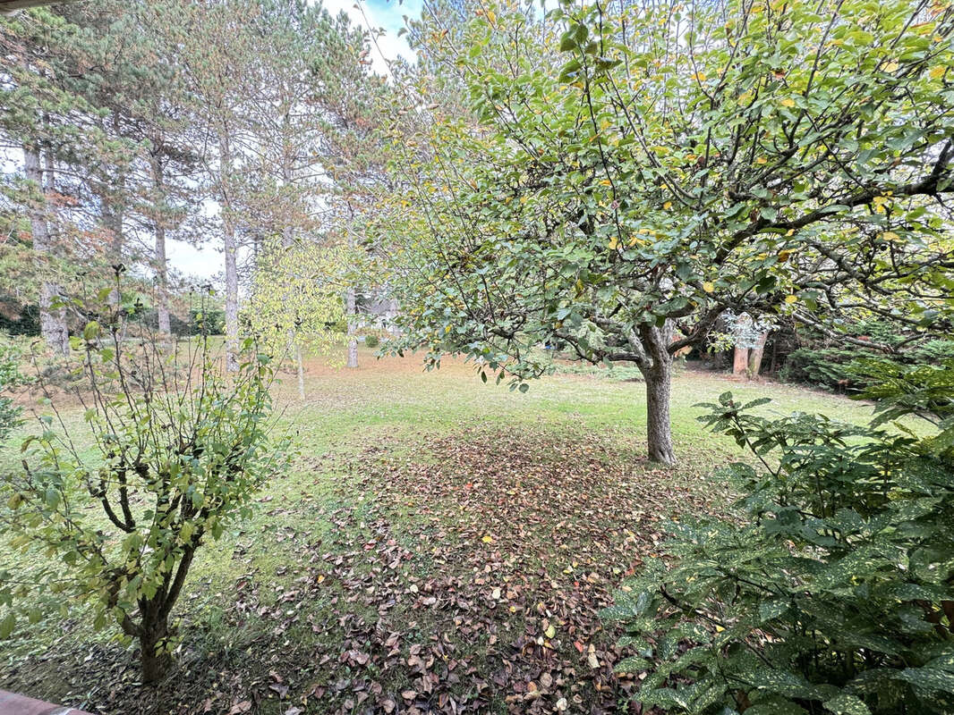 Local professionnel de 87 m2 avec 500 m2 de terrain - photo 8