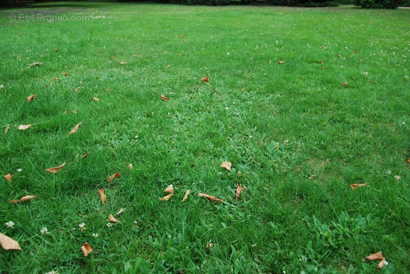 Terrain à LE VEURDRE