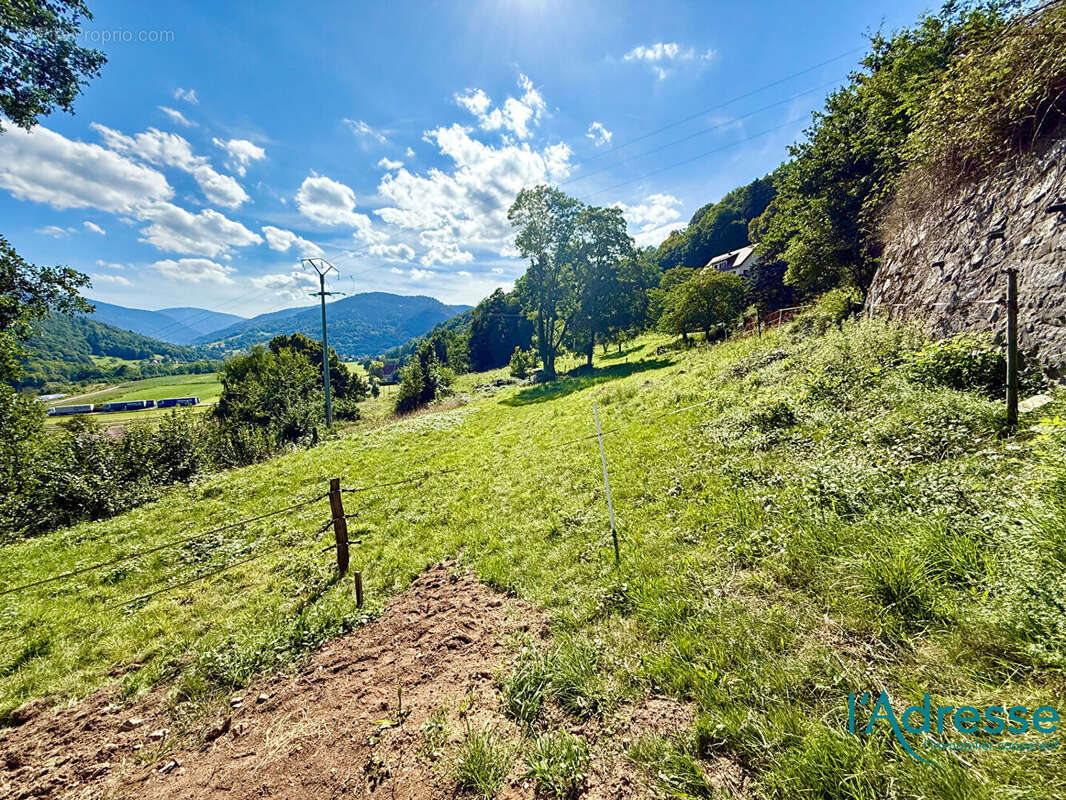 Terrain à MUHLBACH-SUR-MUNSTER