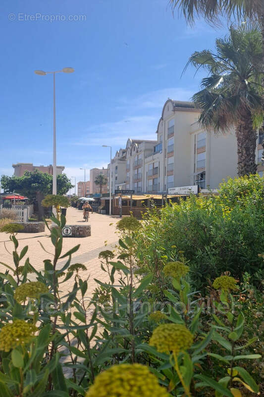 Commerce à GRUISSAN