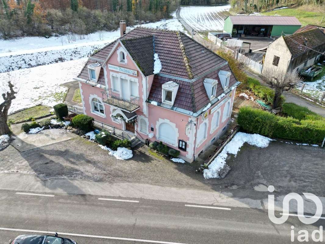 Photo 2 - Appartement à RIXHEIM