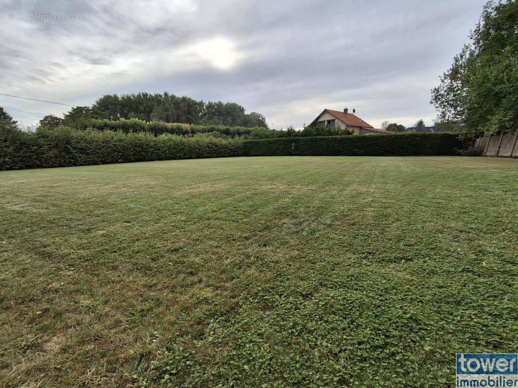 Terrain à NEDON
