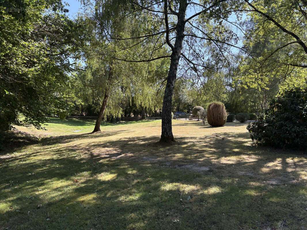 Coussac Bonneval Propriété exceptionnelle avec etang et 2.86 hecatres sans voisinage proche - photo 38