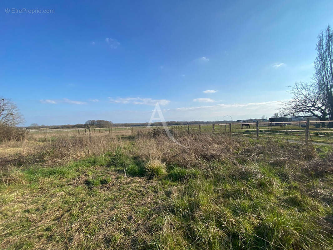 Terrain à MONT-PRES-CHAMBORD